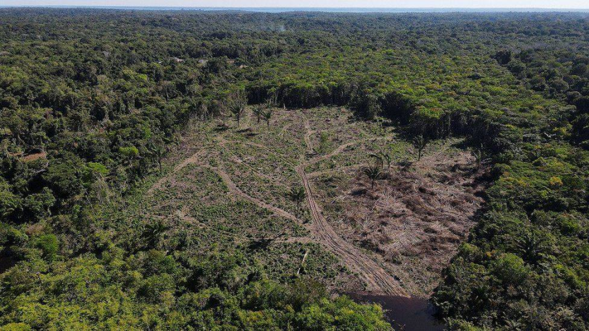 ثلث غابة الأمازون دُمّر بسبب الأنشطة البشرية والجفاف