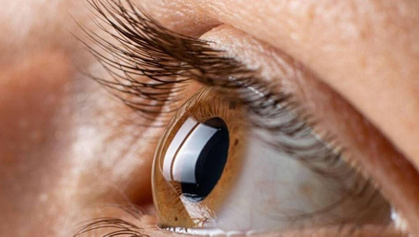 لعلاج العمى.. تطوير عيون مصغرة في المختبر