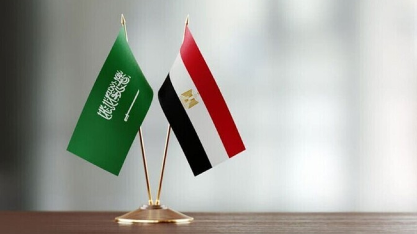 توقيع شراكة بين مصر والسعودية لتطوير أكبر وأول شركة من نوعها في الشرق الأوسط