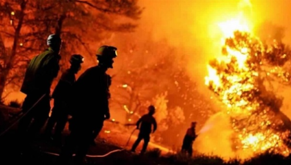إخماد 80 بالمئة من حرائق الغابات في الجزائر