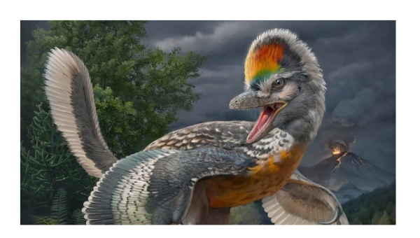 اكتشاف ديناصور يشبه الطيور يثير حيرة العلماء
