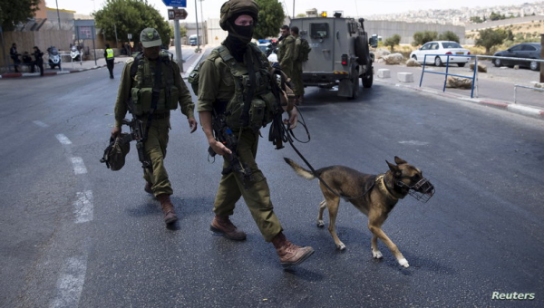 بهذه الطريقة.. تعطيل سلاح "الكلاب" الإسرائيلي في غزة