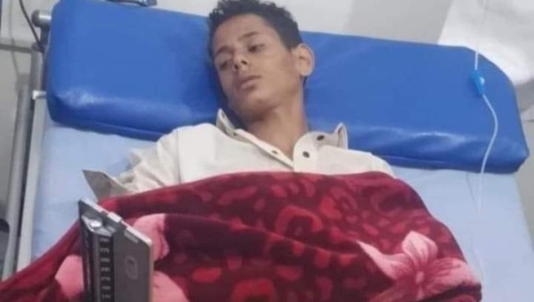 بعضة كلب مسعور.. وفاة شاب و16 إصابة خلال يومين في إب