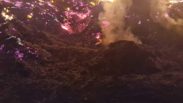 الحرائق لا تتوقف في مصر.. حريق هائل يلتهم مزارع على مساحة 5 أفدنة في الإسماعيلية