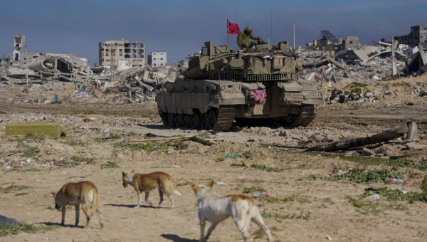 مستوطنون يعتدون على جنود إسرائيليين باستخدام الكلاب في الخليل